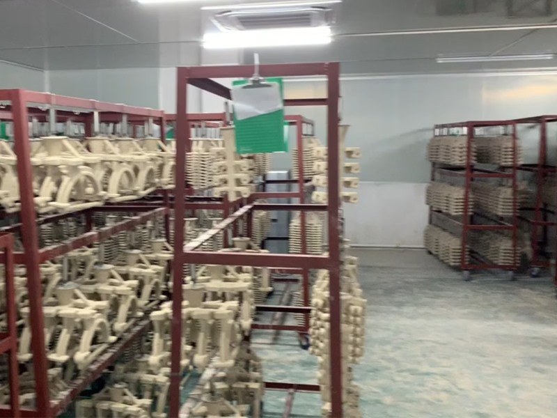 壳膜干燥区